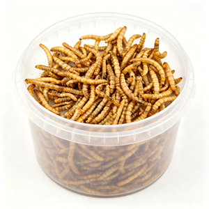 Vermi Gialli Essiccati, Alimento Naturale a Base di Proteine di Insetti per Uccelli Selvatici - Product Image 5