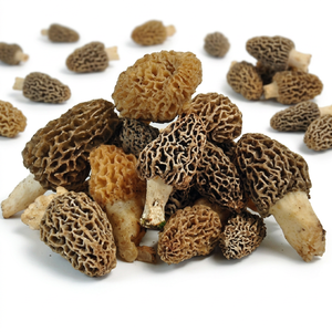 คุณภาพที่ดีที่สุด Morels จากอินเดีย - Product Image 1