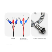 Sonda térmica pequeña de microprobes para uso industrial, material 304 316, tipo RTD K Pt100, sensor de temperatura.