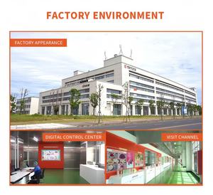 1kg di Albicocche Essiccate FD in Bulk, Chips Ovali di Frutta Croccanti e Dolci, Snack a Fette Conservati in Acqua, Naturali e Salutari - Product Image 4