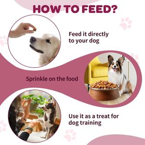 Probióticos para Perros con Prebióticos, Marca Privada OEM ODM, Promueve un Microbioma Intestinal Equilibrado, Refuerza la Salud Inmunológica, Masticables Blandos - Product Image 6