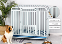 Cage pour chat en métal robuste, grande cage pour animaux de compagnie d'extérieur et d'intérieur avec plateau en plastique à motif solide inclus