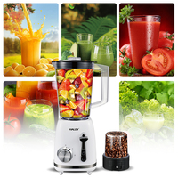Mixeur à fruits multifonctionnel HALEY avec gobelet de broyage à sec, 2 vitesses, mixeur puissant pour smoothies, pour la cuisine à domicile, blender sain