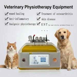 Equipo Láser Dental Veterinario de 980nm en Oferta para Clínica <span class=keywords><strong>Veterinaria</strong></span>, Uso Quirúrgico Veterinario Equino - Product Image 2