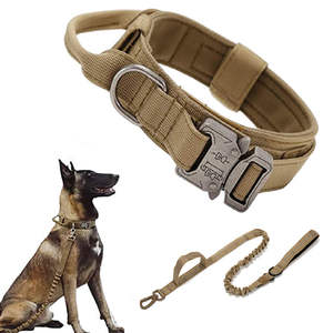 Großhandel Günstige Verstellbare Nylon Hunde halsband Langlebige Taktische Metalls chnalle Sicher Hoch Wasserdicht Mode Jagd Einfach Klassisch - Product Image 1