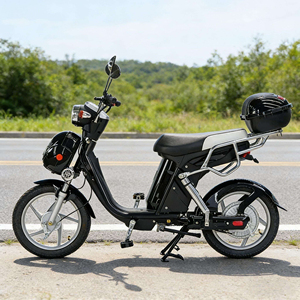 Trottinette électrique avec roue de 16 pouces, moteur arrière sans balais 48V 500W/800W, affichage numérique à 3 vitesses, batterie au plomb-acide/lithium, pour adultes - Product Image 4