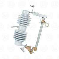 Fusible de coupure en porcelaine 27 kV 100 A 200 A, fusible de coupure en polymère ou en porcelaine pour ligne électrique