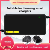Nouveau chargeur universel pour véhicules électriques à batterie, compatible avec les batteries au plomb-acide/graphène 72V 20AH/32AH, garantie de 6 mois