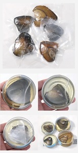 Wholesale Set of Canned Natural Freshwater Oyster Pearls Mixed Color Love Wish <strong>Perles</strong> Naturelles Loose 5-6mm Size - Product Image 4