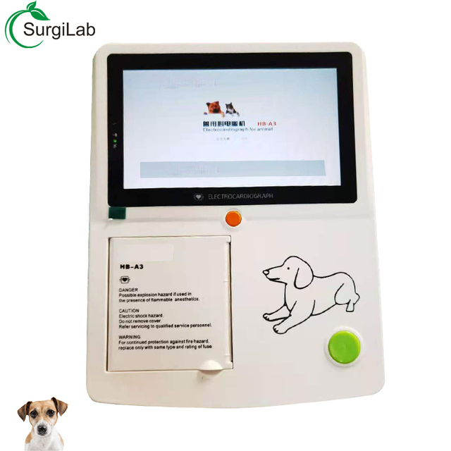 Portable Veterinary Electrocardiogram (ecg) Machine 12 Leads for Dog/cat Clinic Hospital Professional Equipment