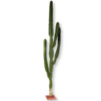 Grand Cactus de 3.2 mètres de haut, plante du désert avec haute simulation et sensation tactile réaliste, pilier immortel