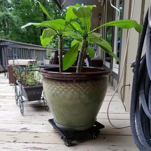 <b>Roller</b> <b>metal</b> flower pot storage rack, plant stand, square flower pot rack, flower pot trolley with <b>roller</b> tray, flower stand - Product Image 4