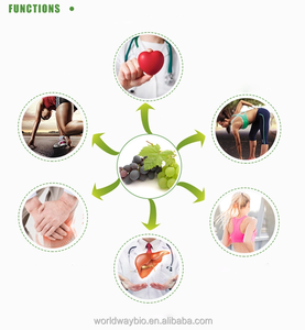 Натуральный чистый экстракт виноградных косточек OPC порошок 95% проантоцианидин экстракт виноградных косточек - Product Image 3