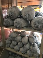 Oreiller de joint blob potelé, jouet animal en peluche de coton en peluche mignon océan grand oreiller pour canapé-lit, cadeaux pour enfants