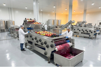 Efficiënte sapcentrifuge, koudpers type, fruitbandpers voor bessen en appels