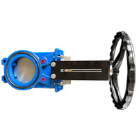 Vanne à opercule manuelle en acier moulé, vente directe usine, pour eau, DN50-DN300, application basse température, garantie 18 mois