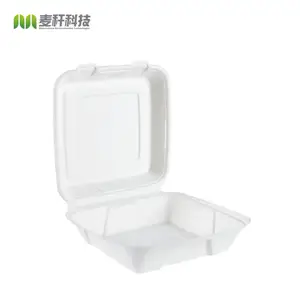 9 Inches Thân Thiện Với Môi Bã Mía Sợi Tự Nhiên Snack Ăn Tối Gói Bản Lề Hộp Đựng Thức Ăn