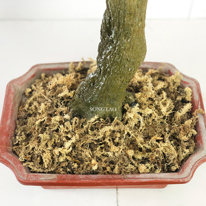 Arbre à fleurs de cerisier artificiel de haute qualité pour la décoration de mariage, centre de table pour événements intérieurs et extérieurs, arbre à fleurs en soie durable - Product Image 4