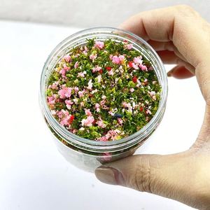 Suministros para Manualidades de Micropaisajes - Follaje de Flores Bajas de Plástico Hecho a Mano para Aniversarios - Product Image 4