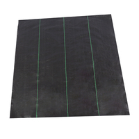 PP/PE couverture de sol en plastique paillis tapis de couverture des terres tissu de mauvaises herbes de jardin en rouleau tapis de bloc de mauvaises herbes robuste pour lit de fleurs