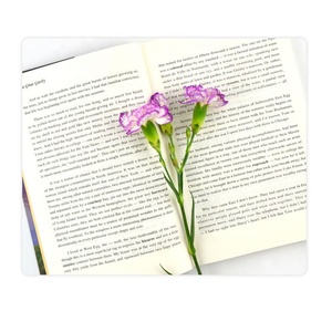 Bìa Mềm Đủ Màu Văn Học Tiếng Anh Đọc Sách Cổ Điển In Ấn - Product Image 6