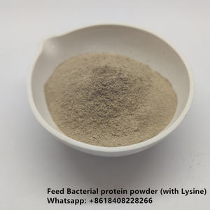 Protéine digestible de levure hydrolysée et acide nucléique dans la poudre de levure de protéine d'alimentation animale - Product Image 6