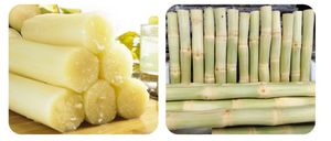 Vente directe usine : Machine commerciale à peler et couper la canne à sucre, éplucheuse et coupeuse de canne à sucre - Product Image 6