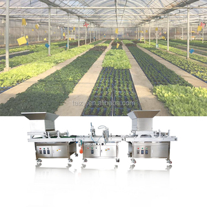 Seminatrice per Mais e Cipolle, Macchina per Semina con Piastra - Product Image 2