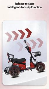 Tricycle électrique pour les loisirs et les trajets quotidiens avec absorption des chocs et stabilité - Product Image 6