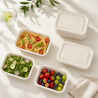 Contenant alimentaire jetable en fibre végétale biodégradable 750ml/1000ml, vente en gros pour riz, pâtes, salades et plats à emporter en restaurant