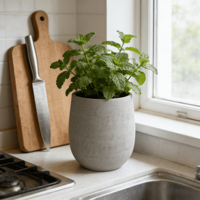 Pot de fleurs en céramique émaillée de style américain, gris clair moucheté, en forme d'œuf, pour intérieur/extérieur, jardin, patio, avec trou de drainage