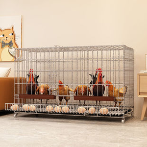 מטבל חם מגולוון ברזל מחוט רשת תיל מרותכת 3 '36 "4" 48 "12 14 16 17 בד חוט ארנבת עוף כלוב עבור עופות - Product Image 6