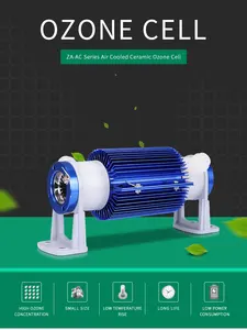 Generator ozon perawatan air, kapasitas tinggi, aksesori Generator ozon, pemurni air ozon kolam