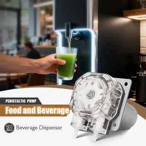 Lefoo信頼できる制御12v 24V Dcモーター100ミリリットル/分小型洗浄液体計量ポンプ洗浄装置用 - Product Image 3