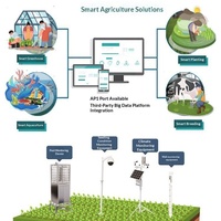 Sensor Pemantau Kelembapan Tanah dan Lingkungan Meteorologi Cerdas DaringFish, Layanan IoT, Sistem Standar Tinggi