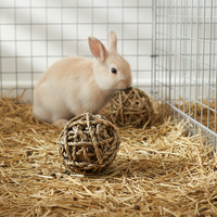 Ensemble de jouets en herbe marine pour lapin et petits animaux