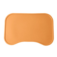 2024 Silicone résistant à la chaleur chien chat bol tapis coussinets solide motif soie alimentation accessoires silicone chien tapis d'alimentation