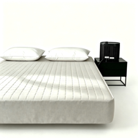 Matelas pliable à circulation d'eau à température contrôlée à deux zones, système de sommeil ultra-silencieux, refroidissement et chauffage toute l'année