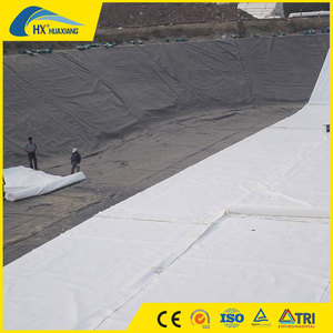 Le tapis non tissé 250gsm de <span class=keywords><strong>géotextile</strong></span> de HDPE a perforé le <span class=keywords><strong>géotextile</strong></span> pour le drainage de maison l'Arabie Saoudite - Product Image 5