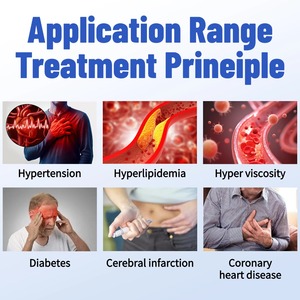 นาฬิกาข้อมือเลเซอร์โลหะสีดำ เครื่องนวดเพื่อสุขภาพ ชาร์จผ่าน USB ควบคุมเวลาได้ ช่วยเพิ่มการไหลเวียนโลหิต - Product Image 6