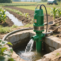 Pompe à eaux usées en fonte durable, pompe de drainage submersible à performance stable pour une utilisation à long terme