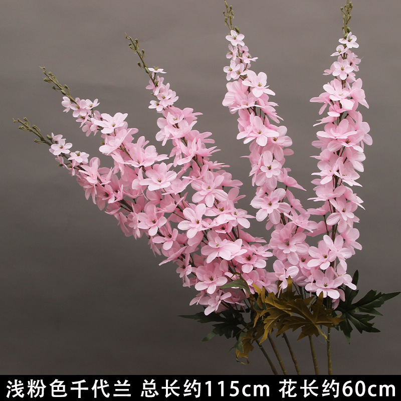 Light pink orchid branch