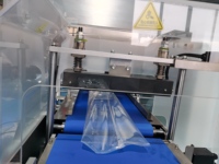 Machine d'extrusion horizontale automatique pour le sucre, le fondant, le fromage cheddar en cubes, machine d'emballage HFFS, moteur servo