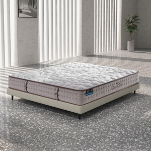 ที่นอนหนา 240 มม. ขนาด 1500x2000 มม. 1800x2000 มม. 2000x2000 มม. 2000x2200 มม. รองรับทั้งตัวด้วยสปริง สำหรับผู้ใหญ่ - Product Image 1