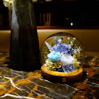Rose éternelle de haute qualité, rose véritable préservée dans un dôme en verre, cadeau de Noël écologique