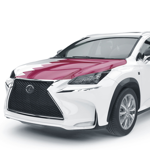 Housse de voiture en polyester tricoté sur mesure pour le Qatar, imperméable, anti-plis, portable, avec mât de drapeau rond en aluminium – Vente en gros - Product Image 2