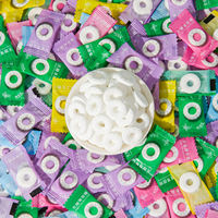 Bulk Sugar-Free Round Mint Candies Custom Fresh Breath Sweets Fruity Flavor Cool Mint Press Tablet Candy Bag