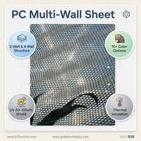 Plaque alvéolaire en polycarbonate gris de 6 mm avec revêtement UV 50-100 micromètres pour couverture de toit imperméable extérieure, balcon, couloir, véranda