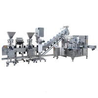 Mesin Pengemas Granul Padat WT6/8-200/300-S Rotary Weighing Filling Line, Mudah Dioperasikan, Akurasi Tinggi, untuk Pengemasan Kantong/Pouch