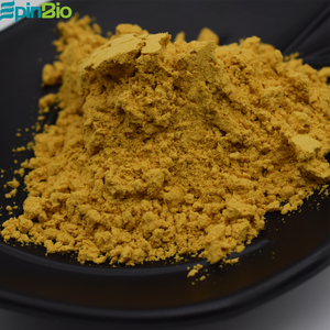 Poudre d'extrait de gingembre EpinBio de haute qualité 100 % naturelle de qualité alimentaire, 20 % de gingérols, 100 % passant le tamis 80 mesh, emballage sous vide en fût - Product Image 2